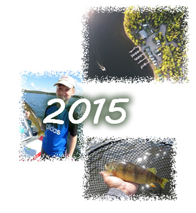 2015 Gallery Button