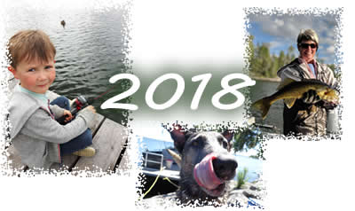 2018 Gallery
